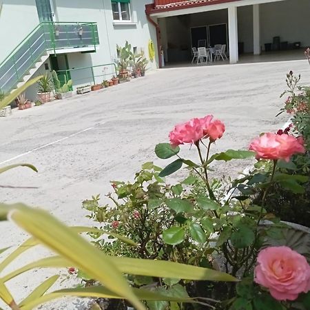 Gorizia Vacanze Appartamento In Villa Con Parcheggio ภายนอก รูปภาพ